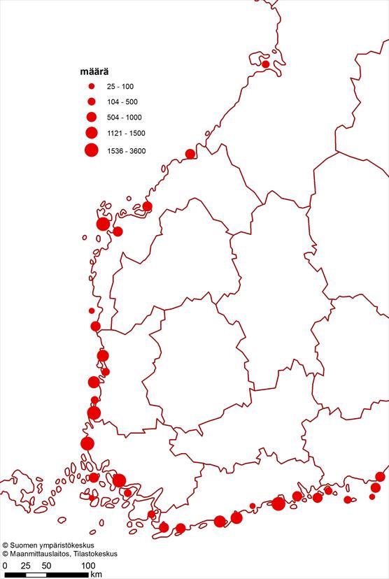 Merimetsojen pesimäärät kartalla 2020